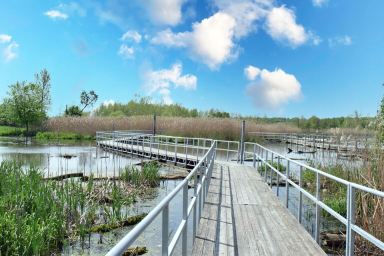 Heron County Park Wetlands Boardwalk